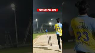 Excellent Pull Shot🔥  #cricket #cricketlover #cricketshorts #cricketlovers #cricketfans