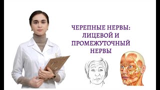 Черепные нервы. Тройничный и лицевой нервы. Часть 2