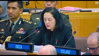 General Debate on Whole Question of Peacekeeping Operations (C34)