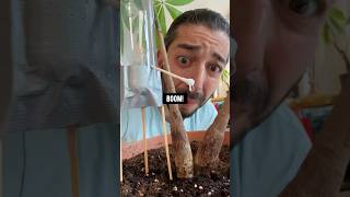 DIY Auto-Watering for Plants | creative explained