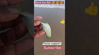 Save the fish #arcade #trending#fishing #ytshorts #fish #beach #respect