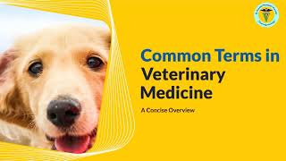 Uncover the Lingo of Veterinary Medicine - You Won't Believe What It Means!