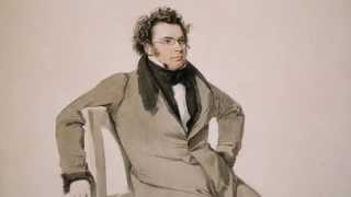 Schubert - Wanderer Fantasy in C Major Op. 15 D 760