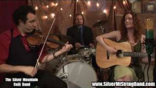 The Wild Rover&Black Velvet Band/Silver Mt Ceili Band