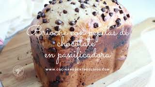 Brioche con pepitas de chocolate en panificadora