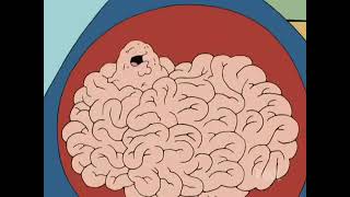 Family Guy - I'm a tumor