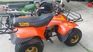 1975 Honda  CT 70 and 1984 Suzuki LT125 Atv quadrunner