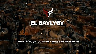 EL BAYLYGY | ЕЛ БАЙЛЫҒЫ - ЭЛЕКТРОНДЫ ШОТ-ФАКТУРАЛАРМЕН ЖҰМЫС