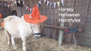 Horsey Halloween Hairstyles - TV EP 408