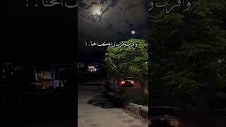 لبى صوتي كل ما ناديت لبه