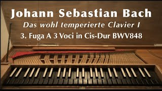 J. S. Bach on clavichord: WTC I Fugue No. 3 in C sharp Major (WTK I Cis-Dur) BWV 848