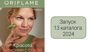 Запуск 13 каталога 2024