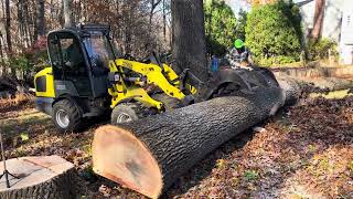 Andy’s Tree Service - Wacker Neuson WL32