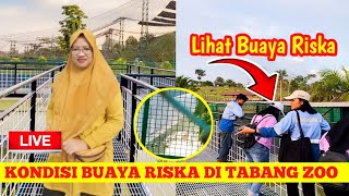 SIARAN LANGSUNG LIHAT KONDISI BUAYA RISKA DI TABANG ZOO.