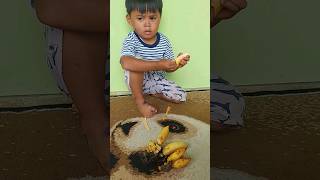 Pisang Termahal didunia #shortvideo