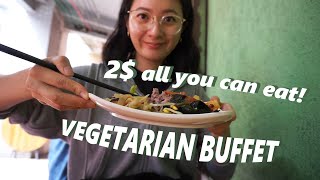 ALL you can eat VEGETARIAN BUFFET ONLY 2 Dollars! China food vlog,what I eat daily, food travel vlog