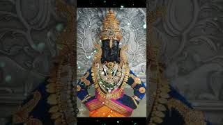 श्री विठ्ठल  प्रसन्न #viral #short #youtube #स्वामीकृपा