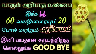 Best Anti Aging Solution| அற்புத சக்தி கொண்ட பூ | எப்பேர்ப்பட்ட வயதான தோற்றத்தையும் ஜொலிக்க வைக்கும்