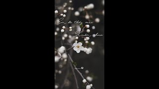 🌸 EM ĐÃ THẤY MÙA XUÂN CHƯA - Quốc Dũng | Nhạc Xuân 2024 | Relaxing Piano | Giang Nguyễn