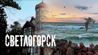 |4K| Прогулка по осеннему Светлогорску. Калининградская область