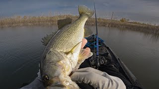 Came back to lake Perris “Bite was tough"