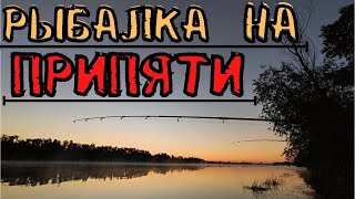 Рыбалка в Июне на реке Припять! |06.06.2022г.|