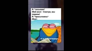 мемы №256 #shorts #memes #mem #мемы #мемасы