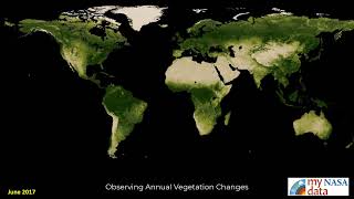 Observing Annual Vegetation Changes