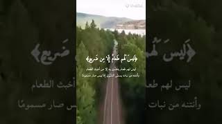 قران صوت جميل