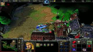 Amateur Plays || Warcraft 3 Defense of Strahnbrad