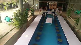 Why Few Pools have this set up | It's all coz of Pool safety