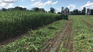 Poettinger 3507 cuttting sorghum Sudan grass