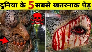 amazon jungle ka sabse Khatarnak janwar || Duniya ka sabse Khatarnak jungle