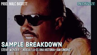 I SAMPLED: Stevie Wonder - Ngiculela-Es Una Historia-I Am Singing | IN DA CUT