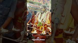 Veerakaaliamman Highlights #shortsfeed #jaihindpuramveerakaaliamman #veerakaliamman