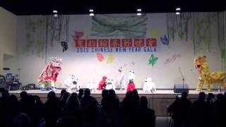 舞龙、舞狮和儿童舞小苹果 Opening Dance: Dragon, Lion Dance and Children's Dance Xiao Ping Guo