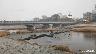 Discover Kamogawa: The Heart of Kyoto, Japan | Scenic Views & Local Life