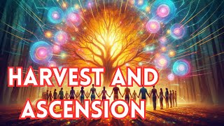 🌌 Understanding Harvest and Ascension in the Law of One: The Soul’s Journey 🌌