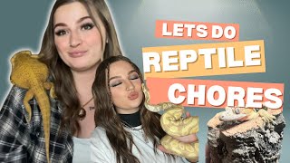 Reptile Chores Vlog With 20 Pets | Meet my bearded dragon I rescued!