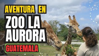 La increíble aventura en el Zoológico la Aurora Guatemala