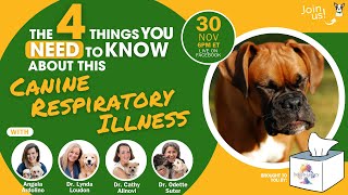 The 4 Things You Need to Know About Canine Respiratory Illness