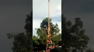 Palo Encebado en Terrones,Monjas,Jalapa