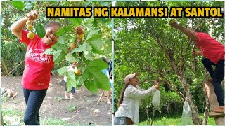 NAMITAS NG SANTOL AT KALAMANSI | MAY KAPATID AT HER BARKADAS