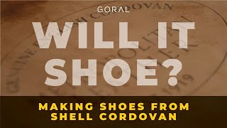 Can we make shoes from Shell Cordovan? - Will it Shoe?