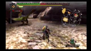 Monster Hunter Tri: Peco Hunt part 1/2