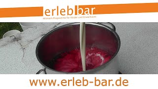 Aus der Eiswerkstatt – Brombeer-Sahne-Eis