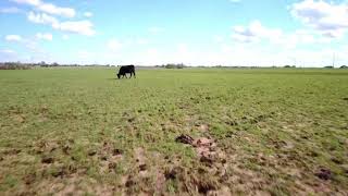 Oklahoma Wind Farms