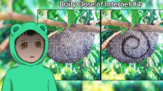 Reacting to Daily Dose of Internet #4! (Bees Are Trying to Talk to Us)