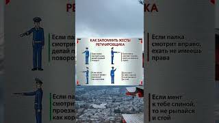 Как запомнить жесты регулировщика 🚓 #полиция #правиладорожногодвижения #жесты #регулирование