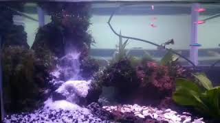 waterfall aquascape pemula ukuran 40x24x28